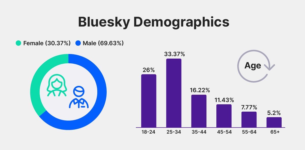Donut chart showing breakdown of visitors by gender. Bar chart showing percentage of visitors by age range.